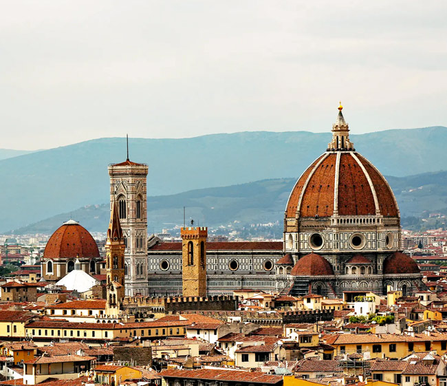 Florence 650x561